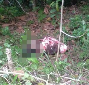 Heboh!!! Mayat Terbungkus Sarung Ditemukan di Wolasi