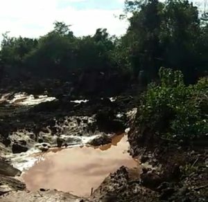 PT. WIN Diduga Garap Kawasan Hutan Konservasi Mangrove