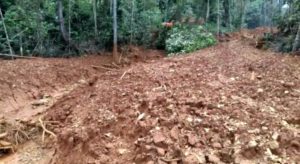 IUP di Sulteng, PT. NPM Malah Nambang di Sultra