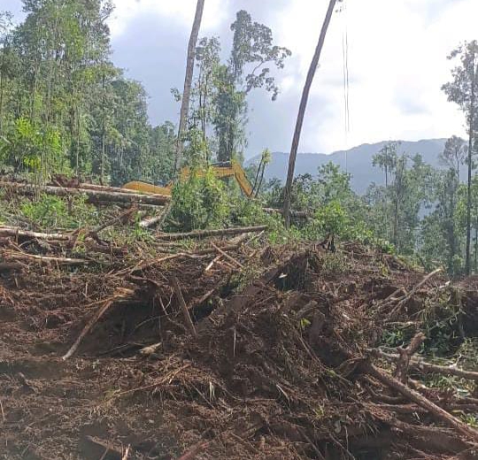 Diduga Dibekingi Oknum APH, Penambangan Ilegal di Kawasan Eks IUP PT EKU Kian Ramai