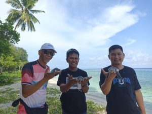 Dispar Sultra Dukung Penangkaran Tukik di Kawasan Pantai Koguna, Buton