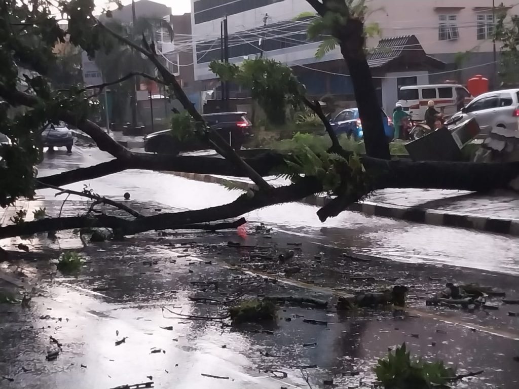 Hujan Badai Disertai Angin Kencang di Kendari, Pohon Tumbang Menimpa Warga Hingga Meninggal Dunia