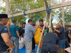 Merayakan Hari Raya Idul Adha 1444 Hijriah, Brimob Polda Sultra Sembelih 82 Ekor Hewan Kurban