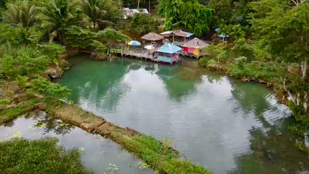 Wisata Relaksasi Ikan Hias Wakante di Muna Barat