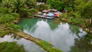 Wisata Relaksasi Ikan Hias Wakante di Muna Barat
