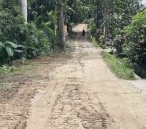 Warga Kelurahan Punggolaka Apresiasi Sudirman atas Realisasi Program Rabat Jalan