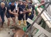 Evakuasi Dramatis, Sapi Terjebak di Sumur Berhasil Diselamatkan
