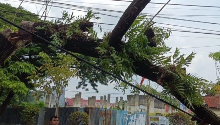 Warga Apresiasi Respon Cepat Wali Kota Kendari Tindaklanjuti Aduan di Tengah Kesibukan Retreat