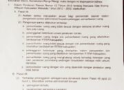 Penimbunan Laut di Kawasan Marina Tabrak Aturan, Pemda Wakatobi Sebut Pelaku Tidak Punya Etikad Baik
