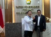 Wagub Sultra Hugua Bertemu Tenaga Ahli Jepang, Bahas Peluang Kerja Sama dengan JICA