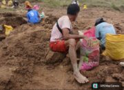 Cemari Air Padang Gembala, Tambang Sinabar di Wambarema Dikecam Peternak