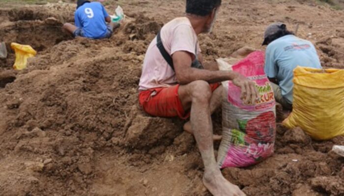 Cemari Air Padang Gembala, Tambang Sinabar di Wambarema Dikecam Peternak