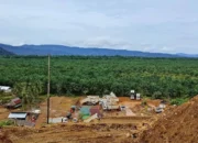 Abai Jaminan Reklamasi, PT Risqi Sinar Biokas Kena Sanksi Ketiga dari Kementerian ESDM