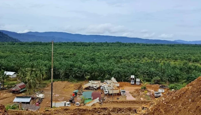 Abai Jaminan Reklamasi, PT Risqi Sinar Biokas Kena Sanksi Ketiga dari Kementerian ESDM