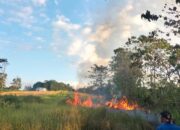 Bahaya Kebakaran Lahan, Damkar Kendari Dorong Warga Aktif Cegah Dini