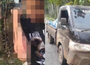 Solar Ilegal Diduga Sebabkan Kecelakaan di Bondoala, Nama “Irma” Kembali Disebut–sebut Warga