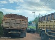 ST Nickel Resources Diduga Lawan Teguran Pemerintah, Aktivitas Hauling di Jalan Umum Kian Masif