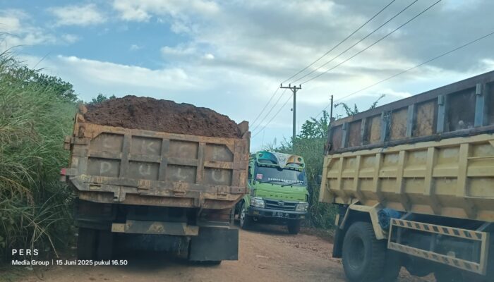 ST Nickel Resources Diduga Lawan Teguran Pemerintah, Aktivitas Hauling di Jalan Umum Kian Masif