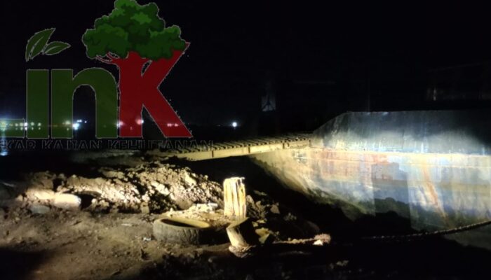 Izin Termum Belum Selesai, Jetty CV UBP Diduga Telah Fasilitasi Ore Ilegal dari Hutan Lindung