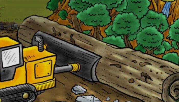 Audit BPK Bongkar Tambang Ilegal PT RJL di Hutan Produksi Kolut, Oprasi Tanpa PPKH dan Tak Bayar Jamrek