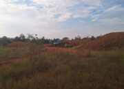 PT ST Nikel Resources Diduga Serobot IUP PT MBS, Manajemen Ancam Tempuh Jalur Hukum