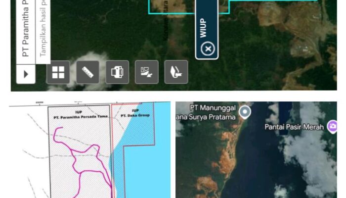HAMI Sultra Buka Dugaan Kejahatan Lingkungan PT PPT di Konut, Bakal Lapor APH dan Kementrian