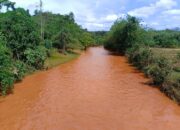 WALHI Sultra Tuding PT Vale dan IPIP Jadi Biang Banjir Lumpur di Pomalaa