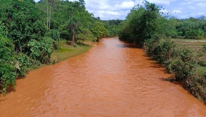 WALHI Sultra Tuding PT Vale dan IPIP Jadi Biang Banjir Lumpur di Pomalaa