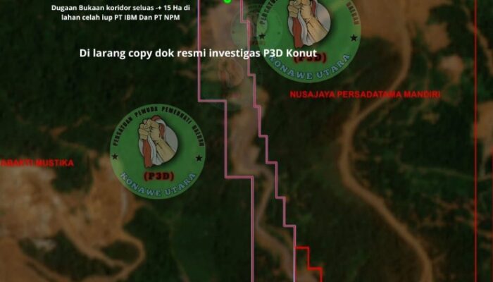 Lembaga P3D Konut Bongkar Dugaan Tambang Ilegal 23 Hektare di Celah IUP PT IBM, PT NPM, dan PT KDI