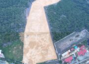 Hutan Mangrove Dibabat untuk Rumah Gubernur, Triple C Soroti DLHK Kendari Soal Dugaan “Tebang Pilih”