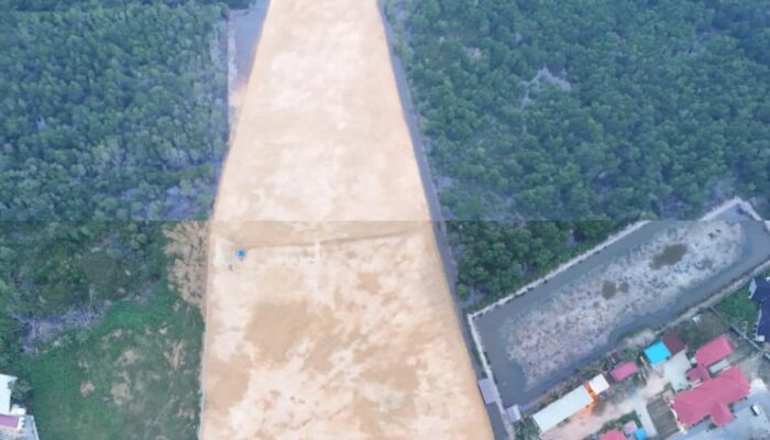 Hutan Mangrove Dibabat untuk Rumah Gubernur, Triple C Soroti DLHK Kendari Soal Dugaan “Tebang Pilih”