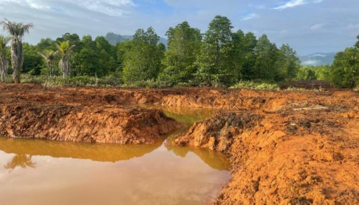 P3D Konut Desak Pencabutan Izin PT DMS Terkait Dugaan Pelanggaran Lingkungan dan Reklamasi