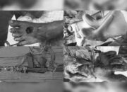 Aksi Koboi Oknum Aparat di Tambang Cinnabar Bombana, Satu Warga Tertembak di Kaki