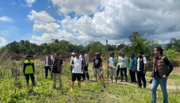 Polemik Lahan Transmigrasi Landono, Sertifikat 1982 Ditindih SKT Baru, Oknum Lurah Diduga Tarik Pungli