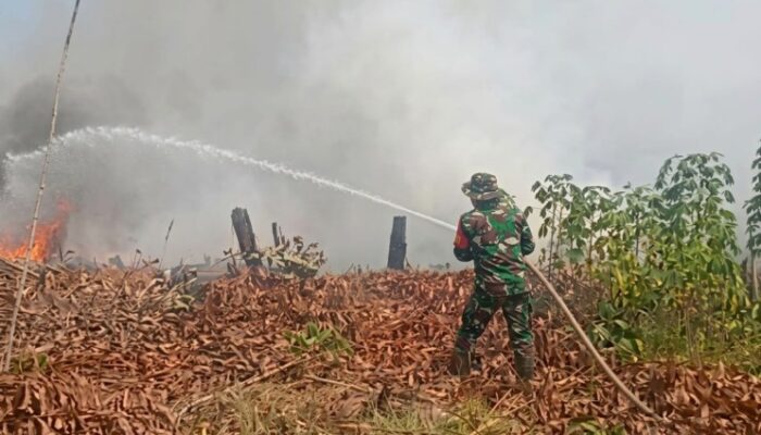 TNI-Polri dan Warga Bahu-Membahu Tangani Karhutla di Nanga-Nanga, Cegah Kebakaran Meluas